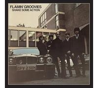 Flamin' Groovies - Shake Some Action