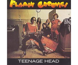 Flamin' Groovies - Teenage Head