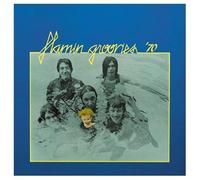 Flamin' Groovies,the - Flamin' Groovies 70'S (Vinyl Replica)