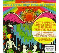 Flaming Lips - Flaming Lips - With a Little Help from My Fwends