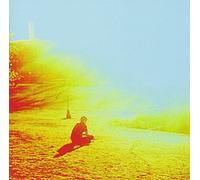 Flaming Lips - Terror