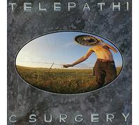 The Flaming Lips Telepathic Surgery (Vinyl LP) 12" Album