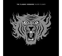 Flaming Sideburns - Silver Flames