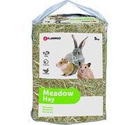 Flamingo 200001 - Mazza da Pesca, 5 kg