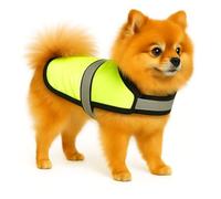 Flamingo Cappottino Invernale per Cani Eisbär Giallo Fluo 25CM