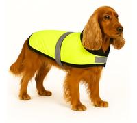 Flamingo Cappottino Invernale per Cani Eisbär Giallo Fluo 45CM