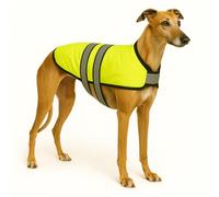 Flamingo Cappottino Invernale per Cani Eisbär Giallo Fluo 65CM