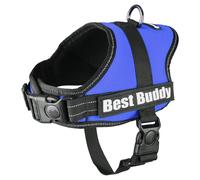 Flamingo Ciotola Best Buddy Pluto Blu Per Cani Piccoli Con Safety Lock