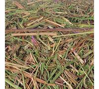 Flamingo fieno da prato, 2,5 kg/75 l, confezione da 1