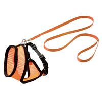 Flamingo Harms Set Pettorina Gattino Arancio/Nero 110CM10MM