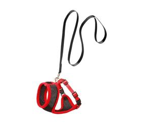 Flamingo Harms Set Pettorina Gatto Nero/Rosso 110CM10MM
