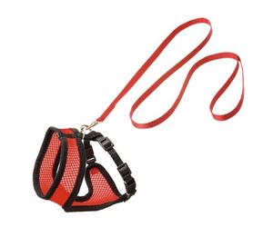 Flamingo Harms Set Pettorina Gatto Rosso/Nero 120CM15MM