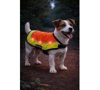 Flamingo Impermeabile Cane - Gilet di Sicurezza LED Simi Fluo Arancione Taglia S - 30 cm - Riflettente - Impermeabile - Batteria Ricaricabile USB