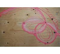 Flamingo Loophole. Ediz. italiana