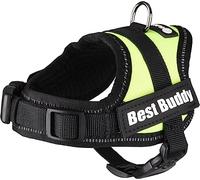Flamingo Pettorina Best Buddy Pluto Verde Neon XXXS 29-33CM 15MM
