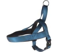 Flamingo Pettorina Norvegese Abbi Azzurro M 50-65CM 20MM