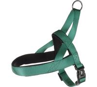Flamingo Norvegese Collare Abbi Verde Scuro Regolabile Per Cani Con Manico