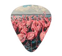 Flamingo Print12 - Accordatore professionale per chitarra, basso e modalità di accordatura cromatica