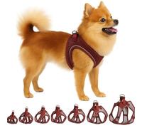 Flamingo Step-Go Bento Pettorina - Melanzana, S (A:30-35 cm, B:37-40 cm, 3 mm), Comoda e Regolabile, Ideale per Jack Russell Terrier, Bulldog Francese, Schnauzer Nano, Carlino ecc.