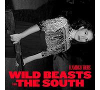 Flamingo Tours - Wild Beasts From The South