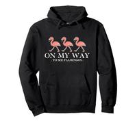 Flamingo Watcher Bird Lover Ornithologist Biologist Felpa con Cappuccio