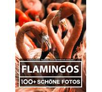 Flamingos Buch - Bildband - Große Erstaunliche Sammlung: 100 Wunderschöne Bildern - Für Kinder und Erwachsene