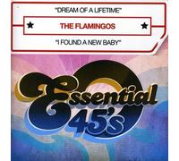 Flamingos - Dream Of A Lifetime