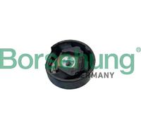 Flangia carburatore Assale anteriore superiore B10032 Borsehung per VW PASSAT B8