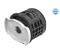 Flangia carburatore Assale posteriore Dx 100 710 0023 MEYLE per AUDI A5 A4 B8