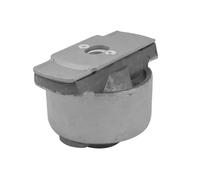 Flangia carburatore Assale posteriore Dx Cuscinetto gomma-metallo 00584274