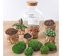 Flaschengarten - DIY Terraro Set " Fat Joe " - Ø 29 CM,Altezza 30 CM - Per Ogni