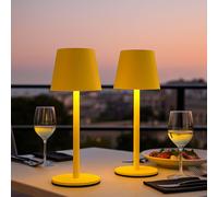 Flaschenleuchte Lampada Tavolo da LED Giallo Cct Batteria Touch Dimmer 2er Set [EEK: Inaditato]