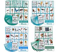 Flash card in inglese con animali selvatici, da fattoria, marini e parti del corpo degli animali per bambini, carte didattiche tascabili, strumenti per asilo, insegnanti, terapisti dell’autismo
