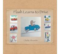 Flash Learns to Drive