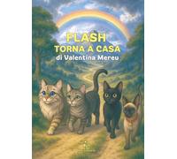 Flash torna a casa. Ediz. illustrata