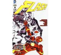 Flash. Vol. 3