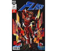 Flash. Vol. 47