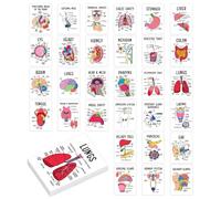 Flashcard di anatomia da 30 pezzi/set Scheda flash di anatomia umana scrivibile tascabile