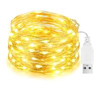Flaspar LED stringa luce USB, 10M 100LED impermeabile filo torcia, Micro rame filo stringa luci all'esterno e all'interno per fai da te Natale, stanza, festa, decorazione matrimoniale, bianco caldo