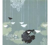 Flat 12 - Tell the Big Blue Sky