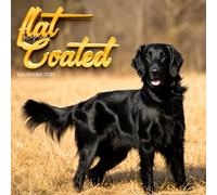 Flat Coated Calendar 2027: Retrievers in Everyday Moments