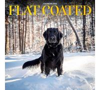 Flat Coated Dog 2026 Calendar: Playful Companions and Sporting Elegance