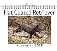 Flat Coated Retriever: (Wandkalender 2026, Kalender DIN A4 quer, Monatskalender im Querformat mit Kalendarium, das perfekte Geschenk)
