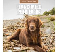 Flat-Coated Retrievers - Flat Coated Retriever 2026 - 16-Monatskalender: Original Red Robin Publishing Ltd-Kalender [Mehrsprachig] [Kalender]