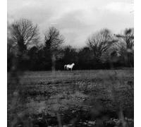 Flatsound When You Run Away, Do You Close Your Eyes (Vinyl LP)
