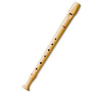 Hohner 9509 - Flauto dolce soprano, diteggiatura barocca, materiale: plastica, con custodia verde