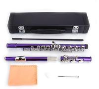 Flauti, Flauti Professionali a Foro Chiuso C, Flauto for Banda da Concerto, Flauto a Foro Chiuso C 16 Tasti, Flauto Musicale in Nichel for Orchestra, con Custodia, Strumento Musicale for Principianti