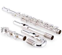Flauti, Flauti Strumento musicale Professionale 16 fori Doppio flauto Testa Flauto Strumento musicale Ottone Placcato argento Flauto for principianti con borsa