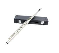 Flauti Strumenti Musicali Flauto A 16 Fori Chiusi Flauto In Chiave C Con Custodia In Pelle Flauto A Fiato Da Concerto Professionale(Silver)