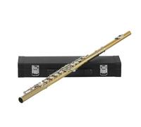 Flauti Strumenti Musicali Flauto Chiuso A 16 Fori Chiave C Flauto D'argento Con Custodia In Pelle Flauto A Fiato Da Concerto Professionale(Gold silver)